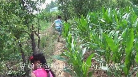 国产玉米地视频 下载,丰收画卷下的农业现代化探索