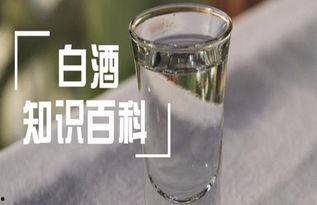 国产白酒知识大全视频,揭秘传统酿造工艺与风味特色